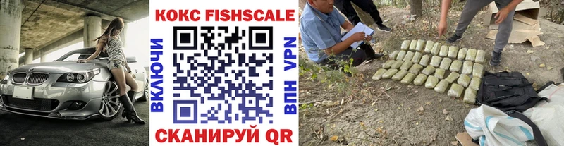 COCAIN FishScale  закладка  Балей 