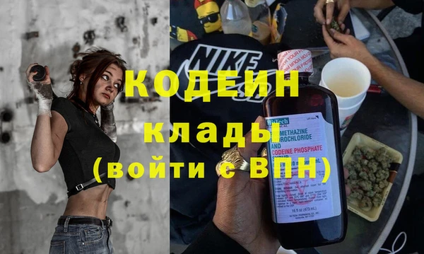 гидра Арсеньев