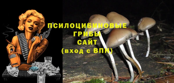 гидра Арсеньев